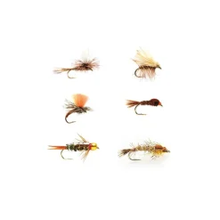 Shop All^ All Around Trout Selection - Your Premium Fishing Gear Store Rods Lines Baits Accessories