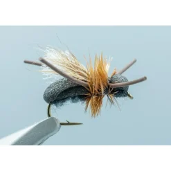 Shop All^ Ant Black #14 - Your Premium Fishing Gear Store Rods Lines Baits Accessories