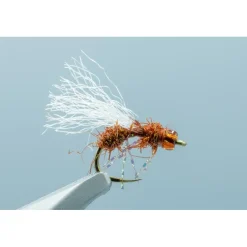 Shop All^ Anty Raid Glass Cinnamon #16 - Your Premium Fishing Gear Store Rods Lines Baits Accessories