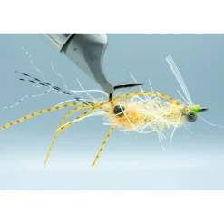 Shop All^ Ascension Bay Mantis Golden Sand - Your Premium Fishing Gear Store Rods Lines Baits Accessories