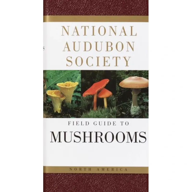 Shop All^ Audubon Pocket Guides: Mushrooms - Your Premium Fishing Gear Store Rods Lines Baits Accessories