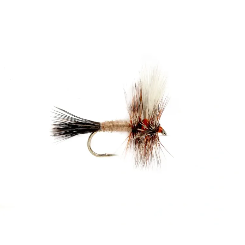 Shop All^ Ausable Wulff - Your Premium Fishing Gear Store Rods Lines Baits Accessories