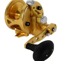 Fishing Line^ Avet JX 6/3 G2ngp RH-GD JX 6/3 G2 Lever Drag, 3 Dia, 2-Speed , Narrow - Your Premium Fishing Gear Store Rods Lines Baits Accessories