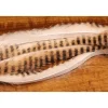 Shop All^ Barred Rabbit Strips - Your Premium Fishing Gear Store Rods Lines Baits Accessories