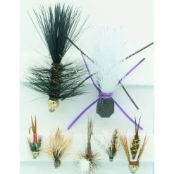 Fly Fishing^ Basic Trout Assortment - Your Premium Fishing Gear Store Rods Lines Baits Accessories