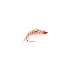 Shop All^ Bead Body Scud Pink - Your Premium Fishing Gear Store Rods Lines Baits Accessories