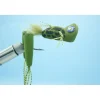 Shop All^ Beel's Franken Frog - Olive - Your Premium Fishing Gear Store Rods Lines Baits Accessories