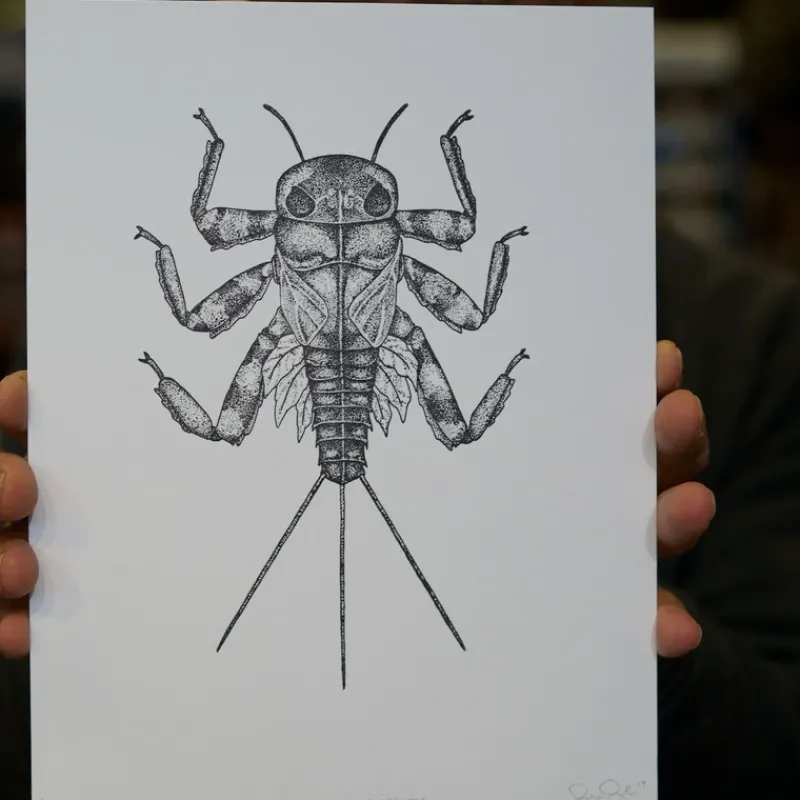 Fly Fishing^ Ben Engle March Brown Art - Your Premium Fishing Gear Store Rods Lines Baits Accessories