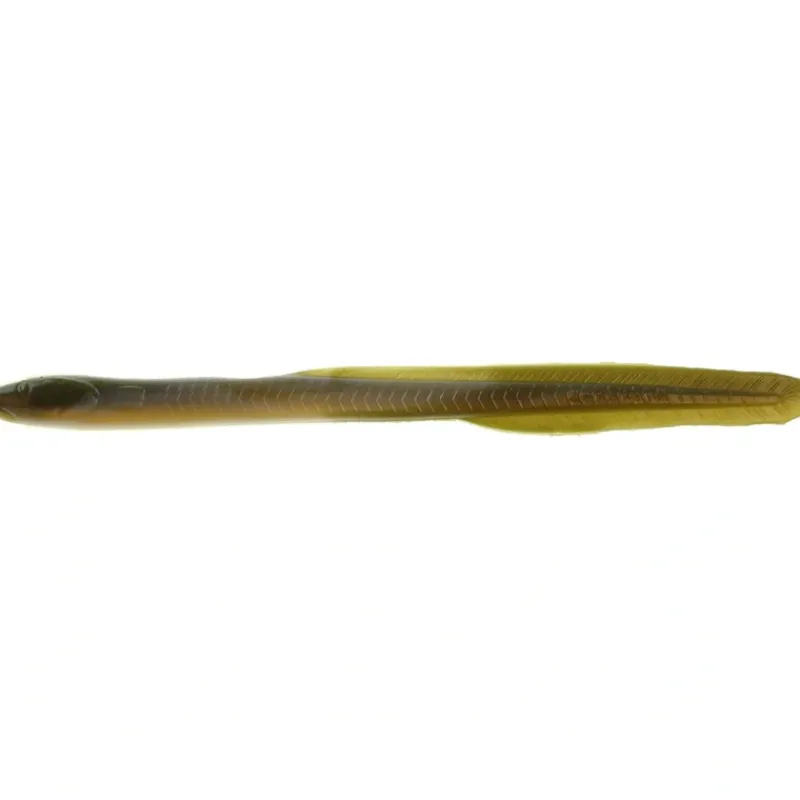 Bait^ Berkley Gulp Eel, 10", 4pk - Your Premium Fishing Gear Store Rods Lines Baits Accessories