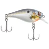 Bait^ Berkley SquareBull Crankbait, 2 3/8", 3/8oz, Sexier Shad, Floating - Your Premium Fishing Gear Store Rods Lines Baits Accessories