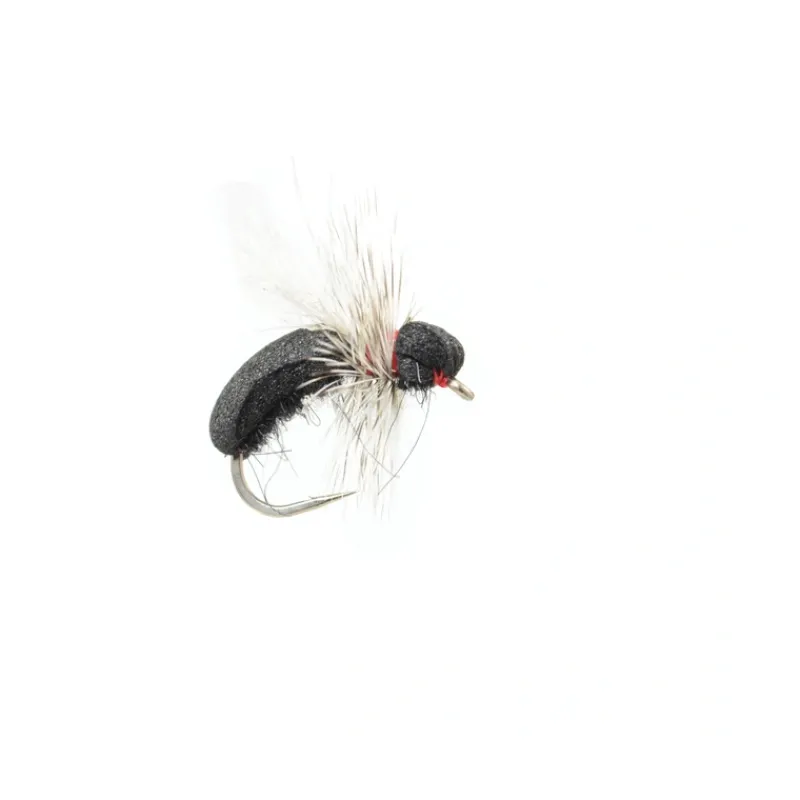 Shop All^ Black Toast Ant - Your Premium Fishing Gear Store Rods Lines Baits Accessories