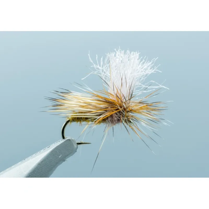 Shop All^ Bloom's Parachute Caddis Olive - Your Premium Fishing Gear Store Rods Lines Baits Accessories