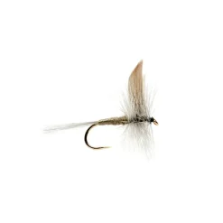 Fly Fishing^ Blue Dun - Your Premium Fishing Gear Store Rods Lines Baits Accessories