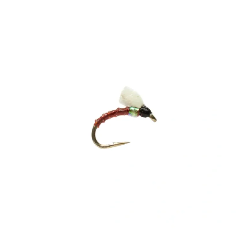 Fly Fishing^ Boroffs Foamie Homie Brown - Your Premium Fishing Gear Store Rods Lines Baits Accessories