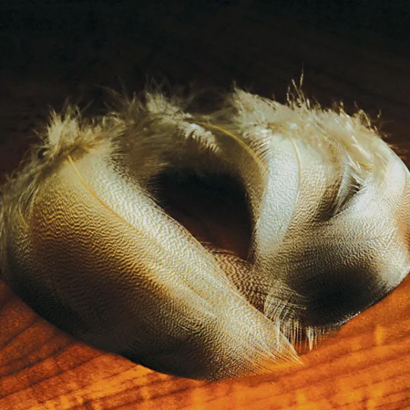 Shop All^ Bronze Mallard-Select - Your Premium Fishing Gear Store Rods Lines Baits Accessories