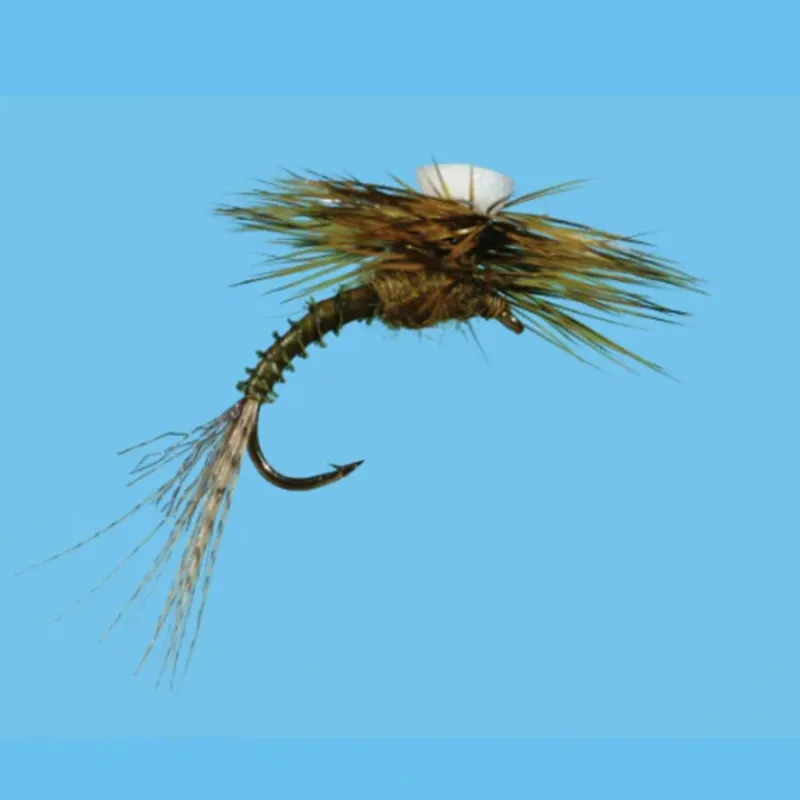 Shop All^ Brooks Sprout Flav - Your Premium Fishing Gear Store Rods Lines Baits Accessories