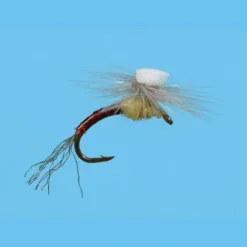 Shop All^ Brooks Sprout PMD - Your Premium Fishing Gear Store Rods Lines Baits Accessories