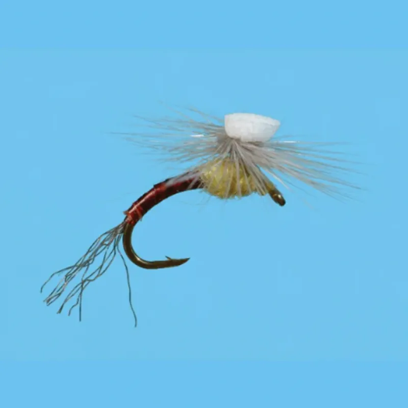 Shop All^ Brooks Sprout PMD - Your Premium Fishing Gear Store Rods Lines Baits Accessories