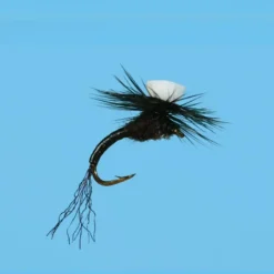 Shop All^ Brooks Sprout Trico - Your Premium Fishing Gear Store Rods Lines Baits Accessories