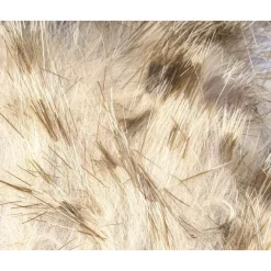 Fly Fishing^ Brown Barred Rabbit Strips - Your Premium Fishing Gear Store Rods Lines Baits Accessories