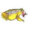 Fly Fishing^ Brown Trout Toad Sticker - Your Premium Fishing Gear Store Rods Lines Baits Accessories
