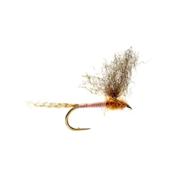 Shop All^ Burkus' Pink MD - Your Premium Fishing Gear Store Rods Lines Baits Accessories