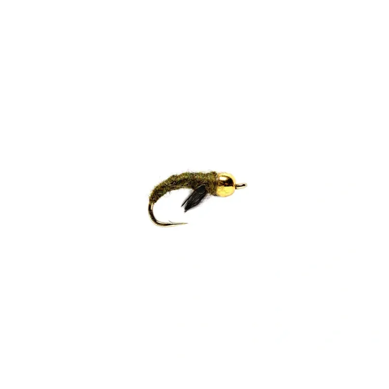 Shop All^ Caddis Pupa Olive Beadhead - Your Premium Fishing Gear Store Rods Lines Baits Accessories