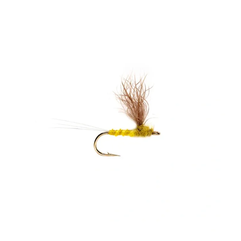 Shop All^ Cannon's Bunny Dun PMD - Your Premium Fishing Gear Store Rods Lines Baits Accessories