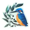 Shop All^ Cara Jane Murray Kingfisher Sticker - Your Premium Fishing Gear Store Rods Lines Baits Accessories