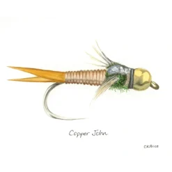 Fishing Line^ Caroline Price Art Copper John 10 Pack w/Envelopes - Your Premium Fishing Gear Store Rods Lines Baits Accessories
