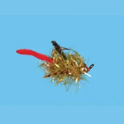 Fly Fishing^ Carpilicious - Your Premium Fishing Gear Store Rods Lines Baits Accessories