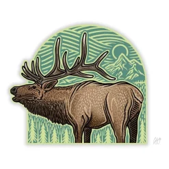 Shop All^ Casey Underwood Elk Arch - Your Premium Fishing Gear Store Rods Lines Baits Accessories