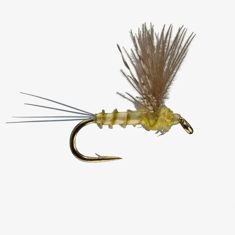 Shop All^ CDC Biot Comparadun PMD - Your Premium Fishing Gear Store Rods Lines Baits Accessories