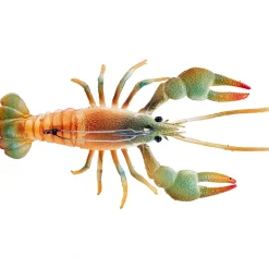 Bait^ Chasebait Crawdad Mud Bug - Your Premium Fishing Gear Store Rods Lines Baits Accessories