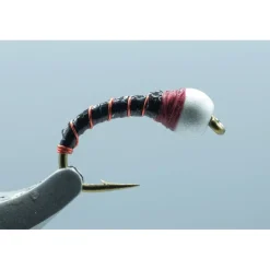 Shop All^ Chiron Pupa Blk/Red #12 - Your Premium Fishing Gear Store Rods Lines Baits Accessories