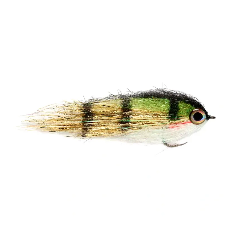 Shop All^ Clydesdale Gold Perch - Your Premium Fishing Gear Store Rods Lines Baits Accessories