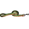 Shop All^ Cognito 6' Leash Brook Trout #2 - Your Premium Fishing Gear Store Rods Lines Baits Accessories