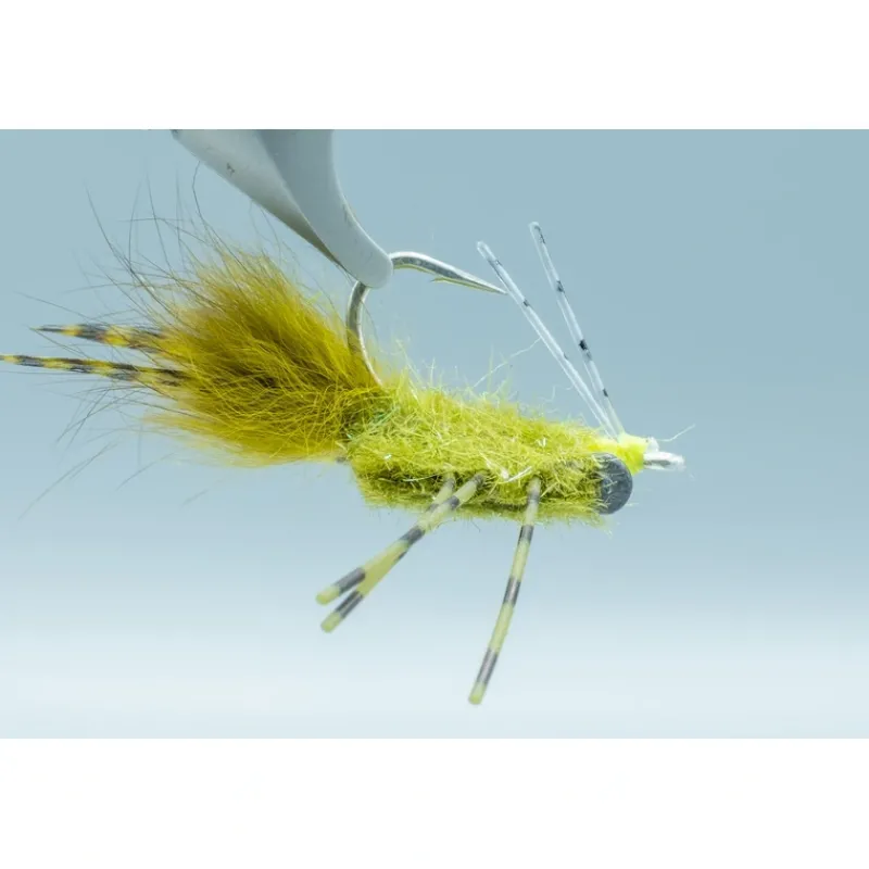 Shop All^ Colby's Casa Blanca Raghead Olive - Your Premium Fishing Gear Store Rods Lines Baits Accessories