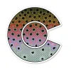 Shop All^ Colorado Rainbow Sticker - Your Premium Fishing Gear Store Rods Lines Baits Accessories