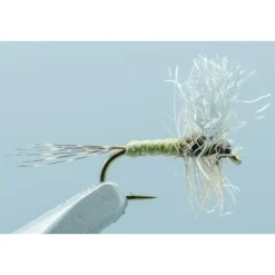 Shop All^ Comparadun BWO #20 - Your Premium Fishing Gear Store Rods Lines Baits Accessories