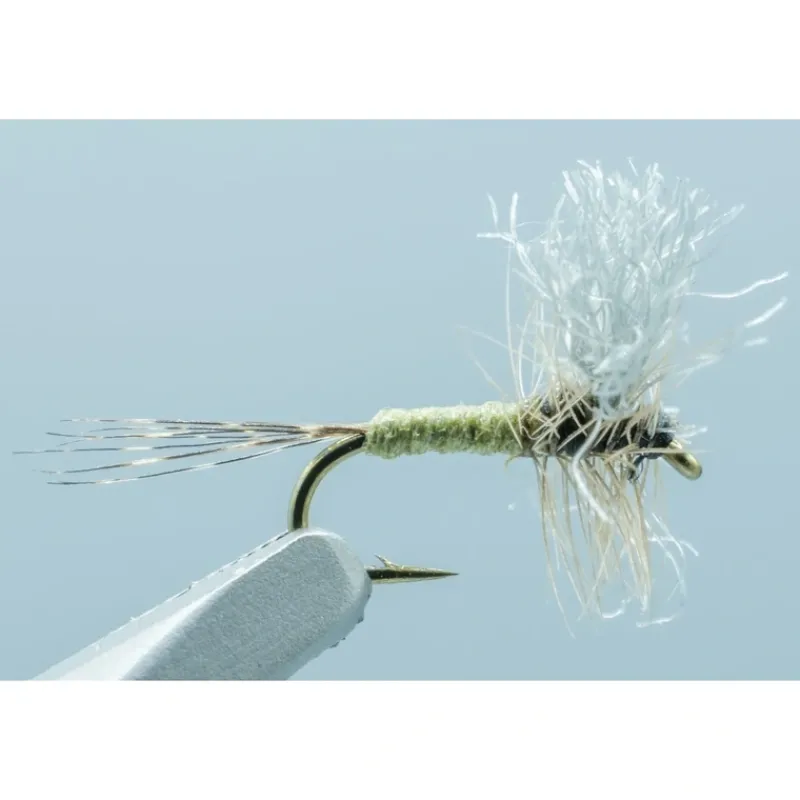 Shop All^ Comparadun BWO #20 - Your Premium Fishing Gear Store Rods Lines Baits Accessories