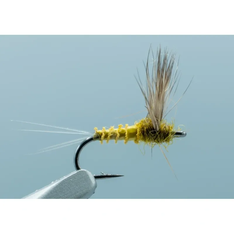 Shop All^ Comparadun BWO #18 - Your Premium Fishing Gear Store Rods Lines Baits Accessories