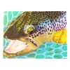 Shop All^ Conner Art Studio Brown Trout Sticker - Your Premium Fishing Gear Store Rods Lines Baits Accessories