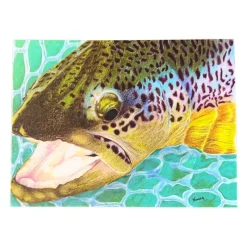 Shop All^ Conner Art Studio Brown Trout Sticker - Your Premium Fishing Gear Store Rods Lines Baits Accessories