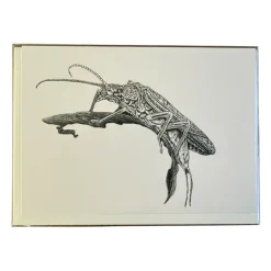 Shop All^ Conner Art Studio Inky Card - Your Premium Fishing Gear Store Rods Lines Baits Accessories