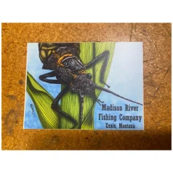 Fly Fishing^ Conner Art Studio Logo Stonefly Sticker - Your Premium Fishing Gear Store Rods Lines Baits Accessories