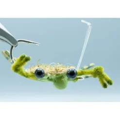 Shop All^ Contraband Crab Olive #4 - Your Premium Fishing Gear Store Rods Lines Baits Accessories