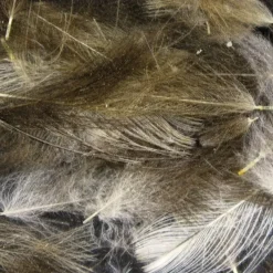 Fly Fishing^ Cul De Canard - Your Premium Fishing Gear Store Rods Lines Baits Accessories