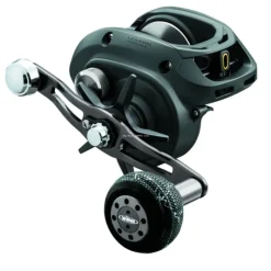 Bait^ Daiwa Lexa Type-WN Baitcast Reel - Your Premium Fishing Gear Store Rods Lines Baits Accessories