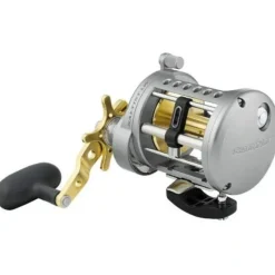 Shop All^ Daiwa Saltist Conventional Reel, 4 (4 Crbb) + 1 , 6.1 : 1 - Your Premium Fishing Gear Store Rods Lines Baits Accessories